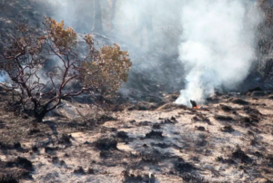 DEFENSORÍA DEL PUEBLO SOLICITA AL GOBIERNO DECLARATORIA DE ESTADO DE EMERGENCIA EN LAS REGIONES AFECTADAS POR LOS INCENDIOS FORESTALES  – RCR Peru