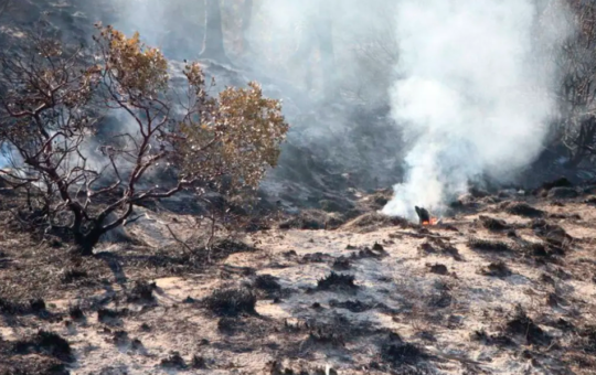 DEFENSORÍA DEL PUEBLO SOLICITA AL GOBIERNO DECLARATORIA DE ESTADO DE EMERGENCIA EN LAS REGIONES AFECTADAS POR LOS INCENDIOS FORESTALES  – RCR Peru
