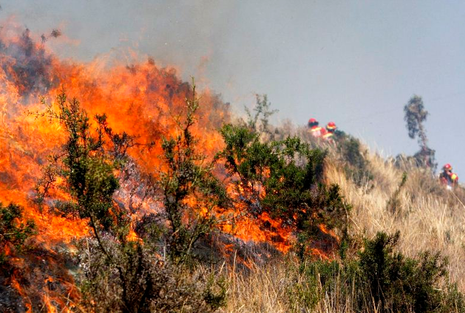 DENUNCIAN INCAPACIDAD DEL ESTADO PARA ENFRENTAR INCENDIOS FORESTALES QUE VIENE CAUSANDO DAÑOS EN LA BIODIVERSIDAD – RCR Peru