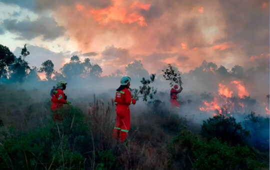 BRIGADAS AÉREAS Y TERRESTRES TRABAJAN EN EL CONTROL DE INCENDIOS FORESTALES EN AMAZONAS – RCR Peru