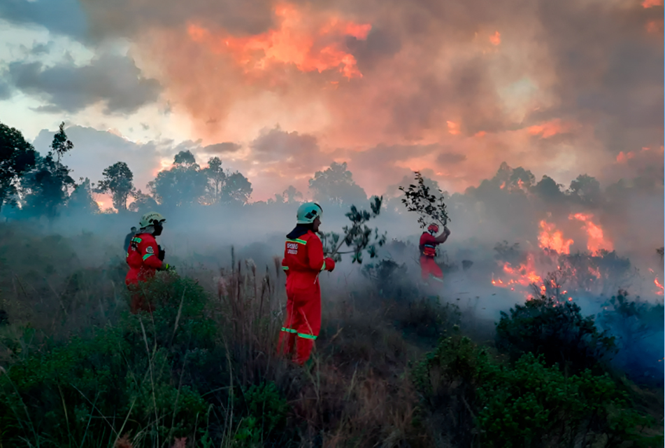 BRIGADAS AÉREAS Y TERRESTRES TRABAJAN EN EL CONTROL DE INCENDIOS FORESTALES EN AMAZONAS – RCR Peru