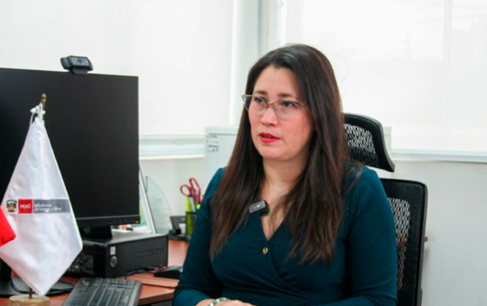 MINISTERIO DE ENERGÍA Y MINAS ESPERA QUE SE ELIMINE EL REINFO CON NUEVA LEY MAPE – RCR Peru