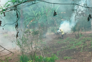 “EL ESTADO DEBE DEJAR DE SER REACTIVO ANTE LAS TRAGEDIAS SOCIOAMBIENTALES EN LA AMAZONÍA” – RCR Peru