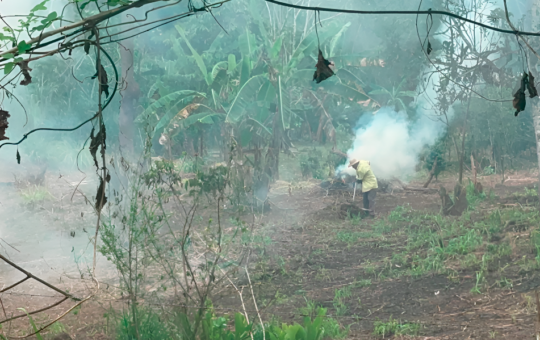 “EL ESTADO DEBE DEJAR DE SER REACTIVO ANTE LAS TRAGEDIAS SOCIOAMBIENTALES EN LA AMAZONÍA” – RCR Peru