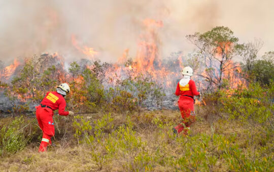 LO QUE IMPLICA EL ESTADO DE EMERGENCIA EN TRES REGIONES – RCR Peru