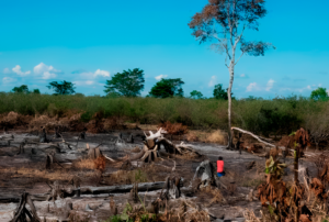 DECLARATORIA DE EMERGENCIA EN SAN MARTÍN POR INCENDIOS FORESTALES TIENE LIMITACIONES Y NO ABARCA LA CRISIS HÍDRICA – RCR Peru