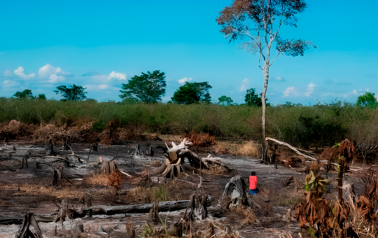 DECLARATORIA DE EMERGENCIA EN SAN MARTÍN POR INCENDIOS FORESTALES TIENE LIMITACIONES Y NO ABARCA LA CRISIS HÍDRICA – RCR Peru