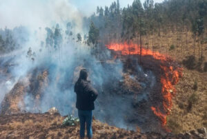 LA LIBERTAD REGISTRA 48 INCENDIOS FORESTALES DESDE JULIO – RCR Peru