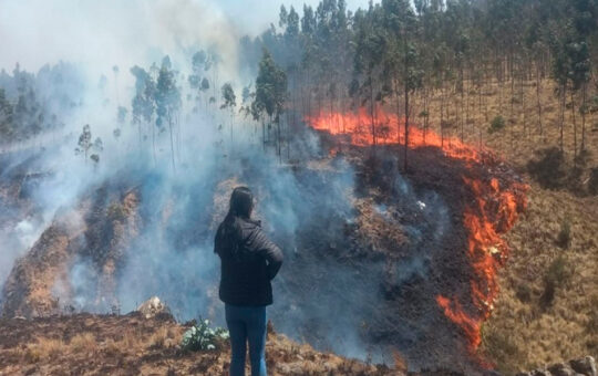 LA LIBERTAD REGISTRA 48 INCENDIOS FORESTALES DESDE JULIO – RCR Peru