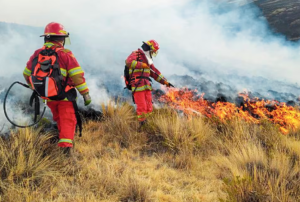 CUERPO GENERAL DE BOMBEROS EN LORETO NO CUENTAN CON EQUIPOS PARA COMBATIR INCENDIOS FORESTALES – RCR Peru