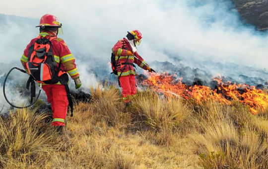 CUERPO GENERAL DE BOMBEROS EN LORETO NO CUENTAN CON EQUIPOS PARA COMBATIR INCENDIOS FORESTALES – RCR Peru