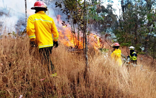 ANTE INCENDIOS FORESTALES INDECI RECOMIENDA A AUTORIDADES CUMPLIR CON REGISTRAR LA EMERGENCIA EN EL SINPAD – RCR Peru