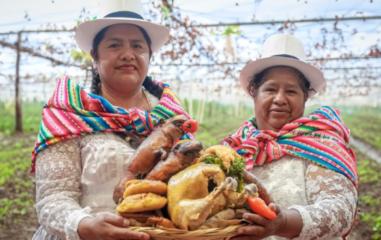 MIDAGRI CELEBRARÁ EL DÍA NACIONAL DEL CUY EN DIFERENTES REGIONES DEL PAÍS COMO CUSCO, ÁNCASH, CAJAMARCA, AREQUIPA Y LIMA – RCR Peru