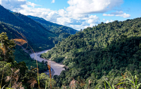 “LA COLABORACIÓN INTERNACIONAL ES NECESARIA PARA LA CONSERVACIÓN DE LA AMAZONÍA” – RCR Peru