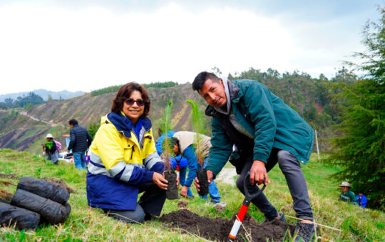 PROYECTO “HUELLA VERDE” COMPLETARÁ LA META DE 1.5 MILLONES DE ÁRBOLES PLANTADOS EN CAJAMARCA – RCR Peru