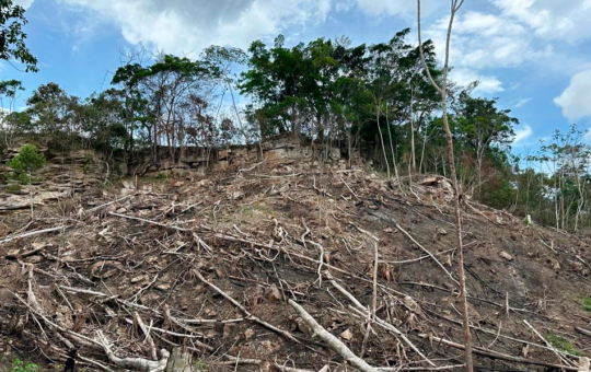 “LA ZONIFICACIÓN FORESTAL DEBE IR MÁS ALLÁ DE LA NORMA” – RCR Peru