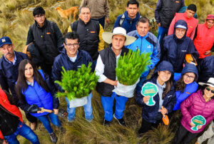 PROYECTO HUELLA VERDE DE NEWMONT FONCREAGRO ESPERA SEMBRAR MILLÓN Y MEDIO DE ÁRBOLES AL 2025 – RCR Peru