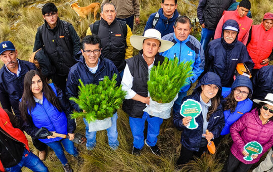 PROYECTO HUELLA VERDE DE NEWMONT FONCREAGRO ESPERA SEMBRAR MILLÓN Y MEDIO DE ÁRBOLES AL 2025 – RCR Peru