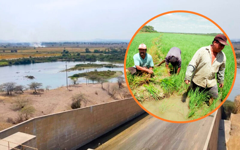 60 DÍAS SIN RIEGO Y EXIGEN DECLARACIÓN DE EMERGENCIA – RCR Peru