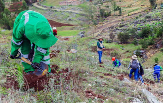 NEWMONT FONCREAGRO JUNTO A LAS MUNICIPALIDADES LA ENCAÑADA Y BAÑOS DEL INCA TIENEN PREVISTO PLANTAR 300 MIL ÁRBOLES – RCR Peru