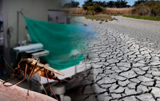 CASOS DE DENGUE Y OTRAS ENFERMEDADES AUMENTAN EN PIURA POR EL DÉFICIT HÍDRICO – RCR Peru