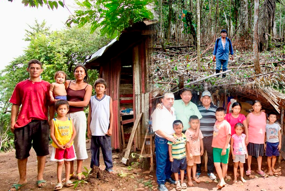 COLONIZACIÓN SOSTENIBLE Y SISTEMAS AROFORESTALES, CLAVES PARA EL DESARROLLO DE LA AMAZONÍA – RCR Peru