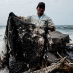 DESASTRE AMBIENTAL POR DERRAME DE HIDROCARBUROS DE PETROPERÚ AFECTA A MÁS DE 40 KILÓMETROS DE MAR Y PLAYAS – RCR Peru