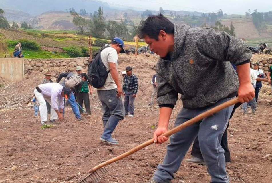 CAMPAÑA AGRÍCOLA EN CAJAMARCA HA SIDO AFECTADA POR LA FALTA DE LLUVIAS Y PRESENCIA DE PLAGAS – RCR Peru