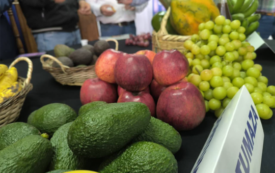 DEL 28 AL 30 DE ENERO SE REALIZARÁ LA FERIA REGIONAL DE LA FRUTA EN EL DISTRITO DE CHILETE PARA MOSTRAR LA DIVERSIDAD DE PRODUCTOS A NIVEL NACIONAL – RCR Peru