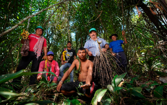 PRODUCTOS CON POTENCIAL PARA EL DESARROLLO SOSTENIBLE Y ECONÓMICO – RCR Peru