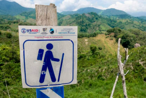 SUSPENSIÓN DE AYUDA DE USAID GENERA PREOCUPACIÓN A DEFENSORES DE DD.HH. EN EL SALVADOR – RCR Peru