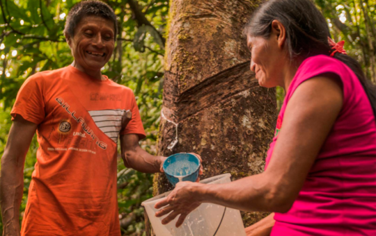 INVERSIÓN POR IMPUESTOS PODRÍA SERVIR PARA EL DESARROLLO AMAZÓNICO – RCR Peru