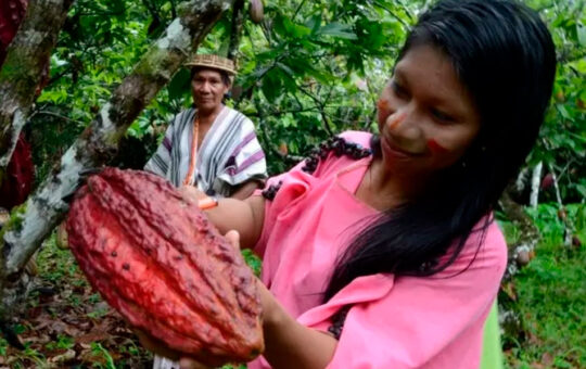 BIOECONOMÍA ES MODELO CLAVE PARA EL DESARROLLO SOSTENIBLE DE AMAZONÍA – RCR Peru
