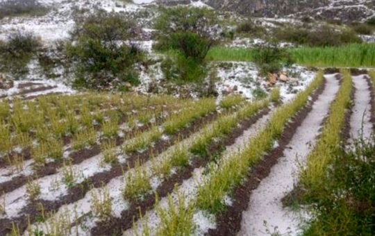 CUATRO MUERTOS Y MÁS DE 2,000 DAMNIFICADOS DEJA ACTUAL TEMPORADA DE LLUVIAS – RCR Peru