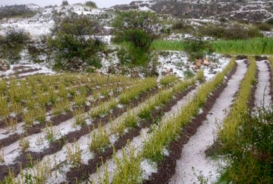 CUATRO MUERTOS Y MÁS DE 2,000 DAMNIFICADOS DEJA ACTUAL TEMPORADA DE LLUVIAS – RCR Peru