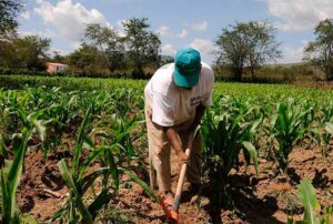 MINERÍA FORMAL Y AGRICULTURA PUEDEN COEXISTIR EN PIURA – RCR Peru