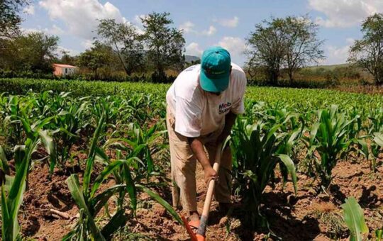 MINERÍA FORMAL Y AGRICULTURA PUEDEN COEXISTIR EN PIURA – RCR Peru