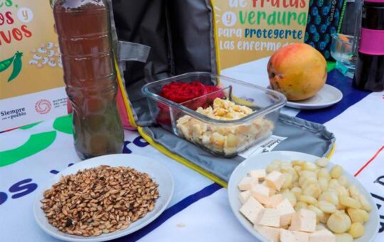 RECOMIENDAN QUE ESCOLARES LLEVEN ALIMENTOS VARIADOS Y CON PRODUCTOS EN SU ESTADO NATURAL – RCR Peru