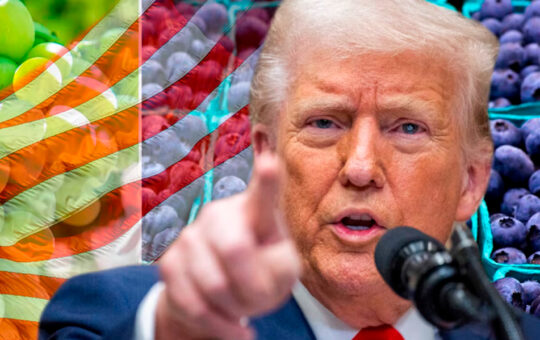 ARANCELES IMPUESTOS POR ESTADOS UNIDOS GOLPEARÁ A REGIONES AGROEXPORTADORAS COMO PIURA – RCR Peru