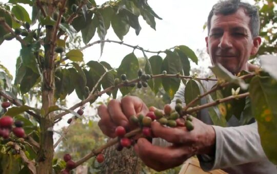 PRODUCE IMPULSA INNOVACIÓN Y EMPRENDIMIENTO EN CAJAMARCA  CON INVERSIÓN DE S/ 2.5 MILLONES – RCR Peru