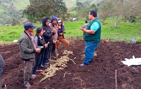 MIDAGRI PROMUEVE TECNOLOGÍAS ORGÁNICAS PARA ELEVAR LA CALIDAD DE SUELOS EN JAÉN – RCR Peru