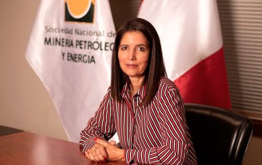 SNMPE DEMANDA REVISIÓN DE REGLAMENTO QUE PERMITIRÍA HEREDAR LOS REINFOS – RCR Peru