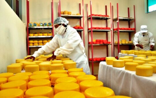 23 PRODUCTORES DE CAJAMARCA PARTICIPARÁN EN SALÓN DEL QUESO EN LIMA – RCR Peru