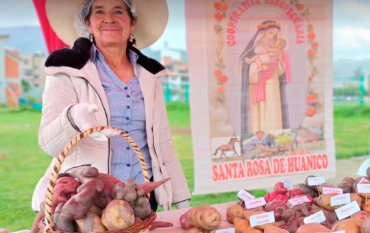 FERIA CONSUME LO QUE CAJAMARCA PRODUCE HA PERMITIDO MEJORAR LA CADENA PRODUCTIVA DE LA REGIÓN – RCR Peru