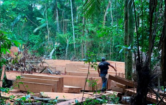 MADRE DE DIOS HA PERDIDO 122 MIL HECTÁREAS DE ÁREAS FORESTALES POR PRESENCIA DE LA MINERÍA ILEGAL – RCR Peru