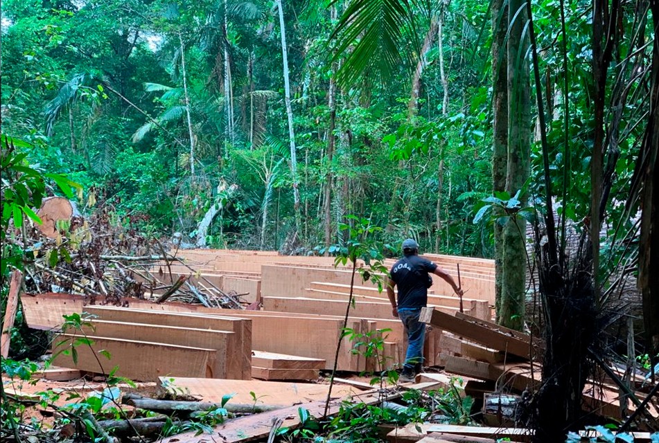 MADRE DE DIOS HA PERDIDO 122 MIL HECTÁREAS DE ÁREAS FORESTALES POR PRESENCIA DE LA MINERÍA ILEGAL – RCR Peru