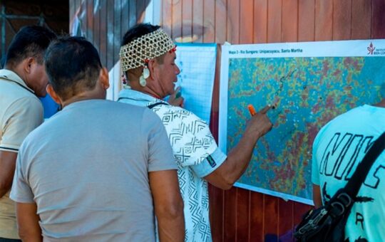 NARCOTRÁFICO AMENAZA A 274 COMUNIDADES Y CUATRO RESERVAS INDÍGENAS EN LA AMAZONÍA PERUANA, ADVIERTE EXPERTA – RCR Peru