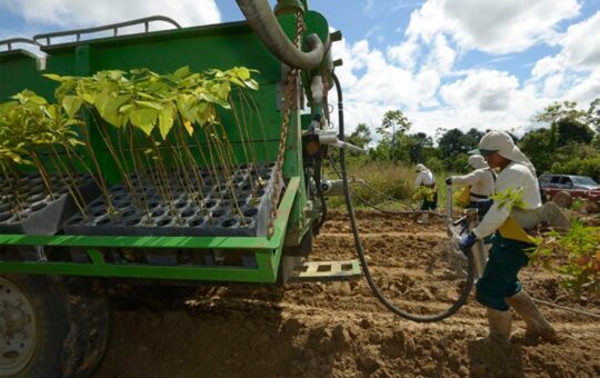 APROBADO DICTAMEN DE LEY AGRARIA BUSCA IMPULSAR LA INVERSIÓN – RCR Peru