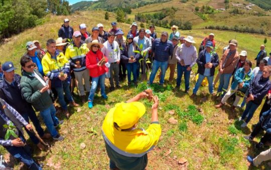 HEMOS FORJADO ALIANZAS CON OTRAS INSTITUCIONES A FIN DE TRABAJAR POR UNA REGIÓN VERDE Y PRODUCTIVA – RCR Peru