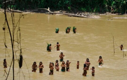 ¿GUARDIANES O RESPONSABLES? EL ROSTRO OCULTO DEL INDÍGENA AMAZÓNICO EN LA CRISIS AMBIENTAL – RCR Peru